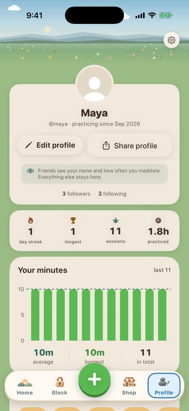 Profile with streak, sessions, time practiced and a chart of minutes
