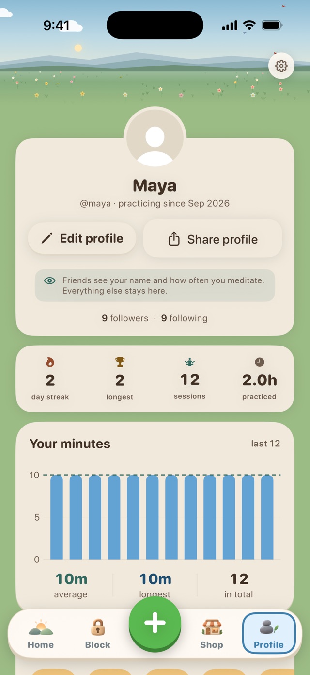 Profile with streak, sessions, time practiced and a chart of minutes